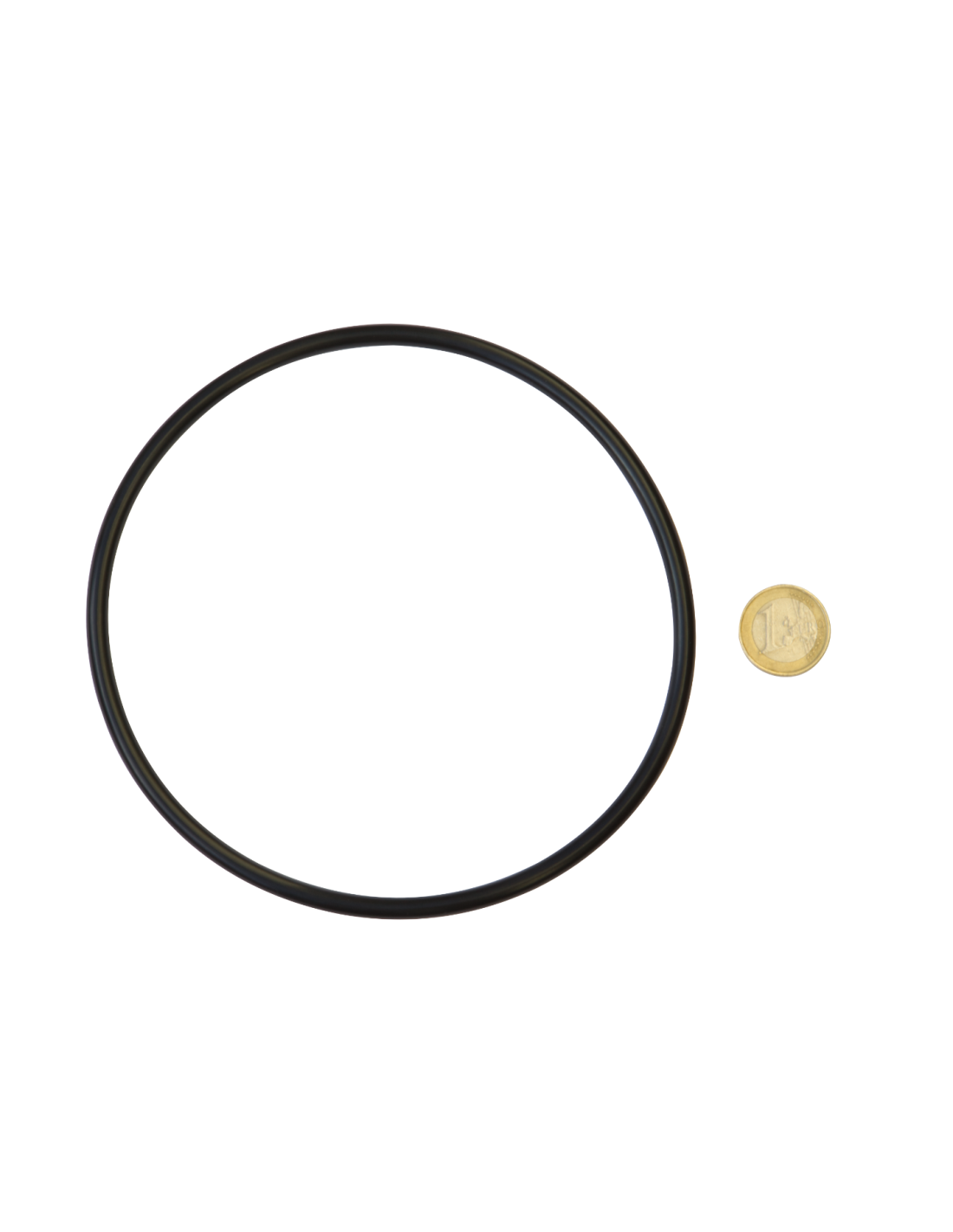 Dichtungs-O-Ring für das Gehäuse BigBlue 10''