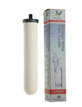 Doulton UltraCarb Filterpatrone 10" x 2" (¼" BSP) (KF 12)